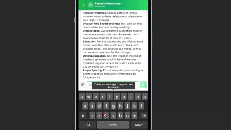 AI Chatbot Assistant
